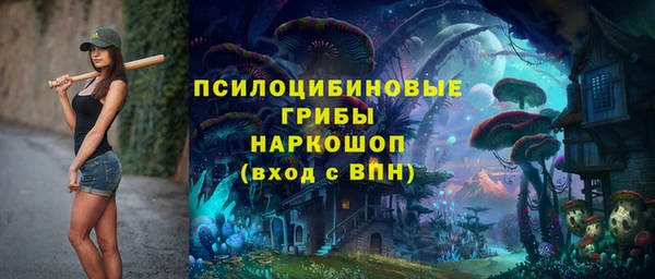 каннабис Аркадак