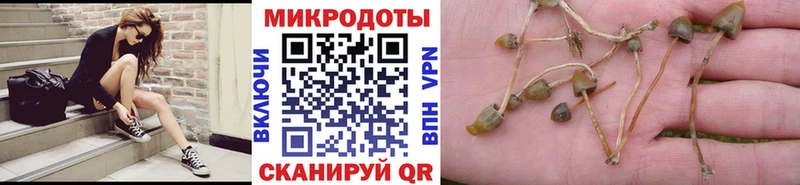 Псилоцибиновые грибы ЛСД площадка состав Талица хочу